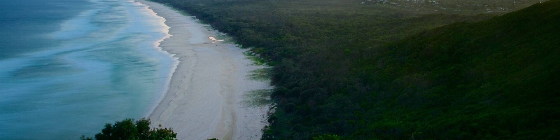 A coastal landscape with a beach, forested hills, and a sunset.