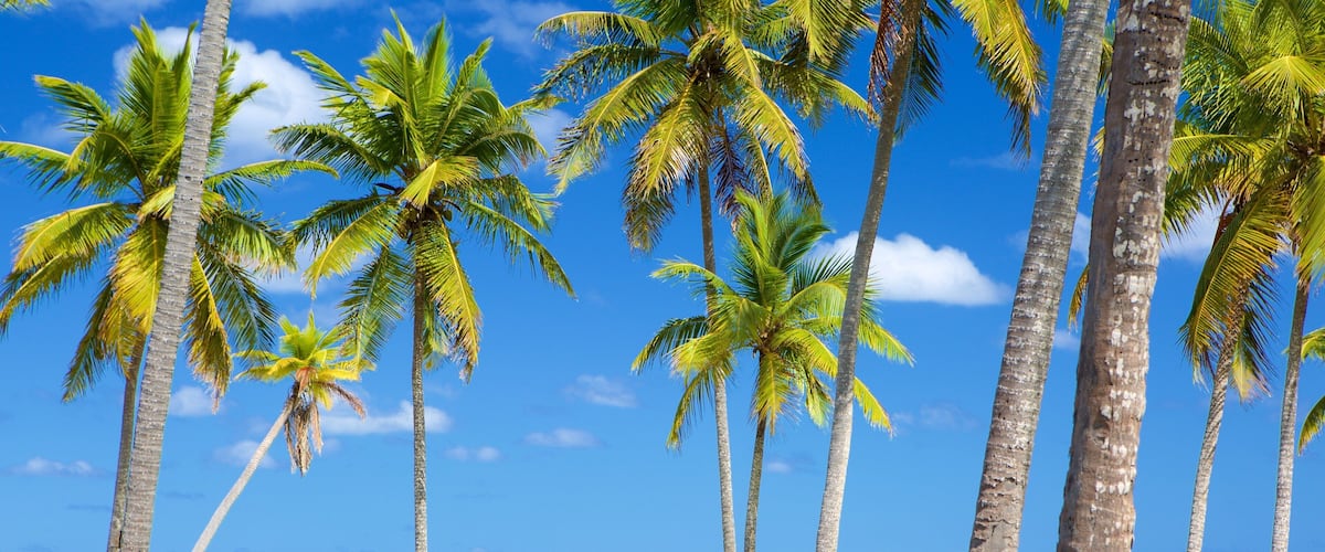 Emerald Bay som inkluderer utsikt mot øy, kyst og tropisk landskap