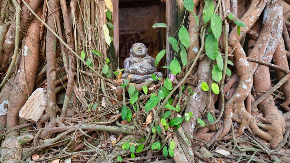 A statue in a natural setting surrounded by tree roots and foliage.