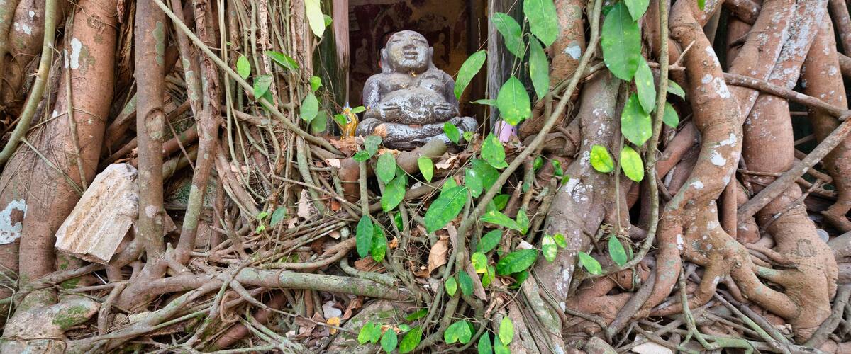 A statue in a natural setting surrounded by tree roots and foliage.