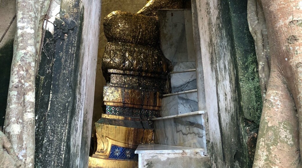 Ancient temple covered by tree roots at Wat Bang Kung, Samut Songkhram province, Thailand