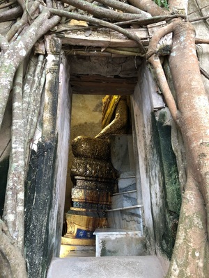 Ancient temple covered by tree roots at Wat Bang Kung, Samut Songkhram province, Thailand