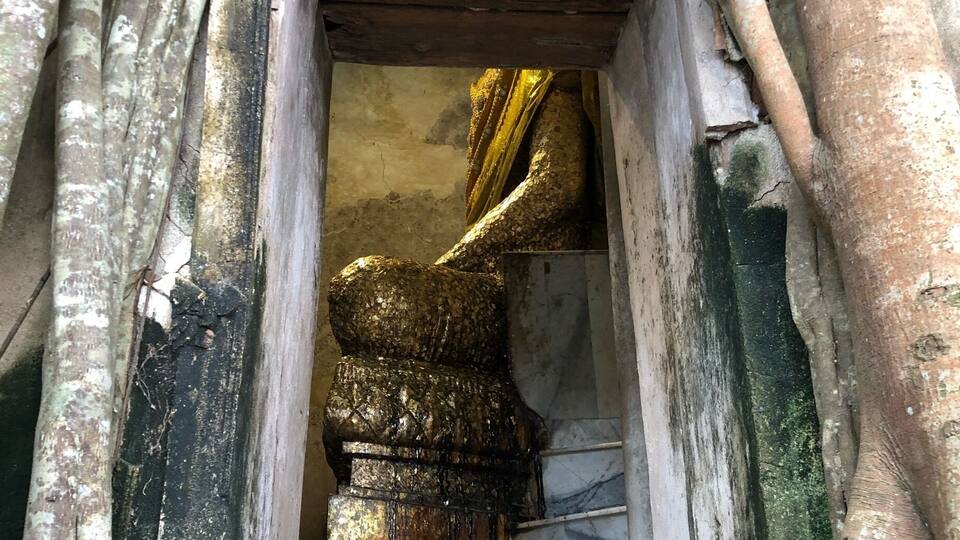 A temple entrance with a staircase leading up to a golden statue, surrounded by large tree roots.
