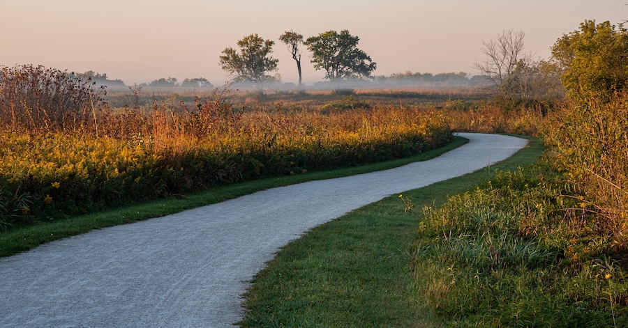655-84 Springbrook Prairie Morning Trail