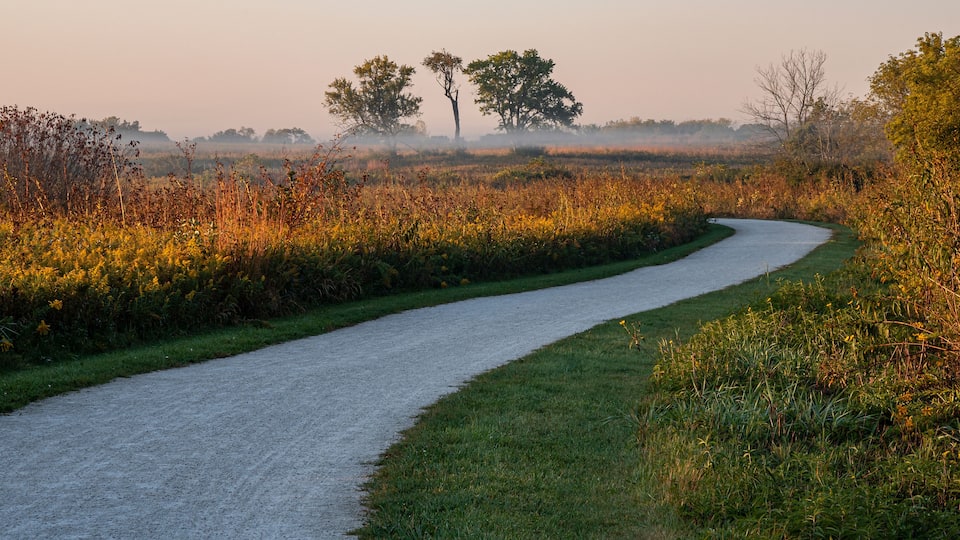 A gravel path winding through a grassy field with trees and wildflowers.