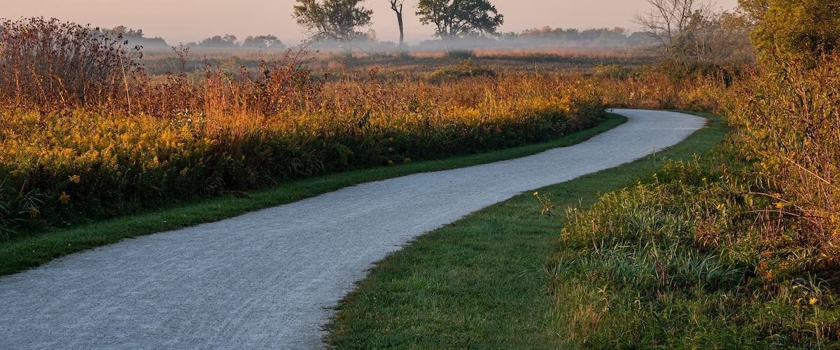 A gravel path winding through a grassy field with trees and wildflowers.