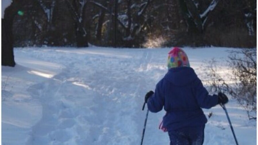 Snowshoeing on the Nature Trail at Haverford College