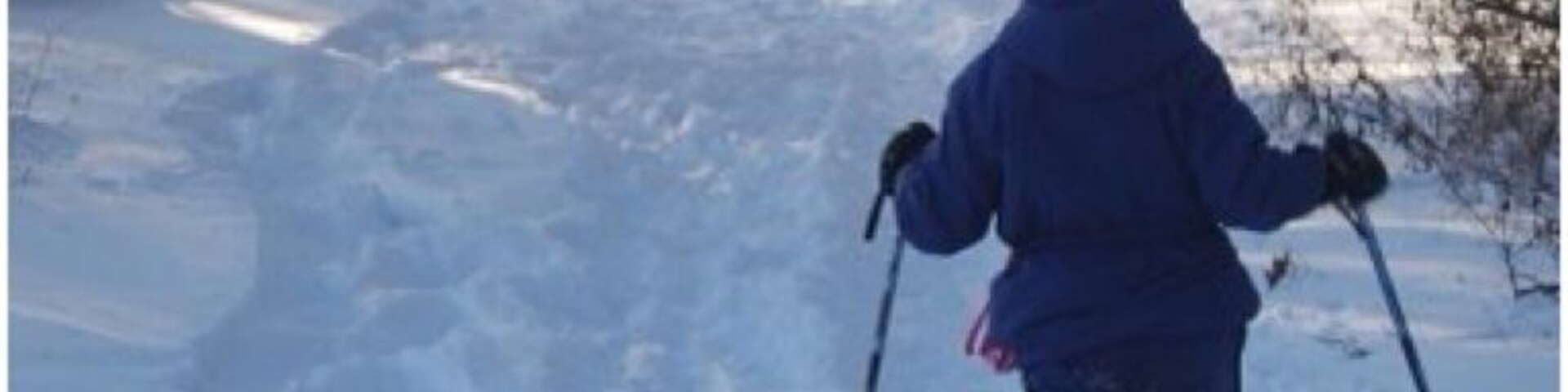 Snowshoeing on the Nature Trail at Haverford College