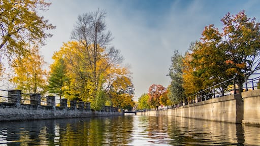 Ein Kanal mit Herbstlaub, Steinmauern und einer Brüstung.