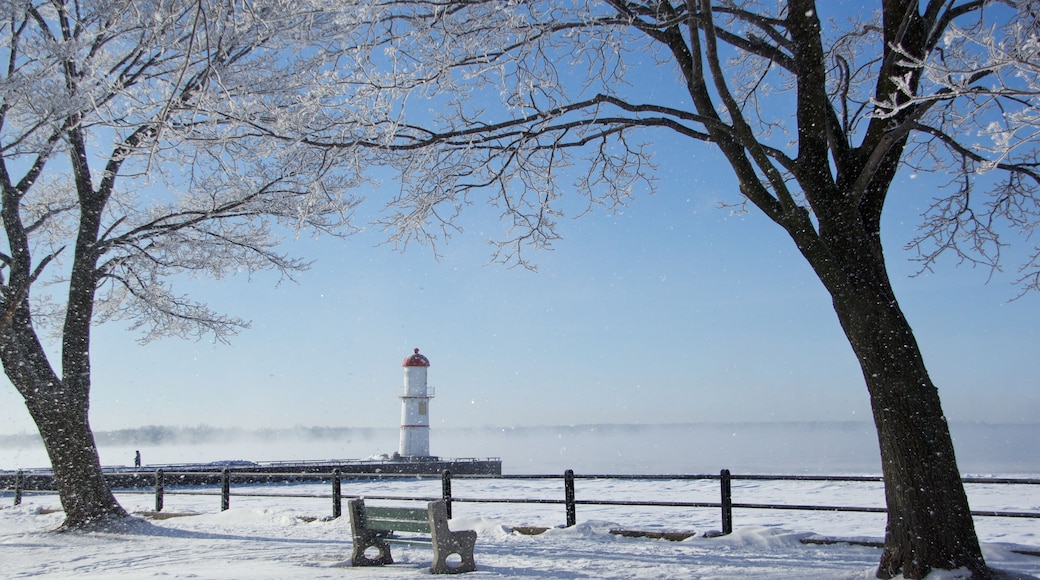 Cold and Snowy Day in Montreal