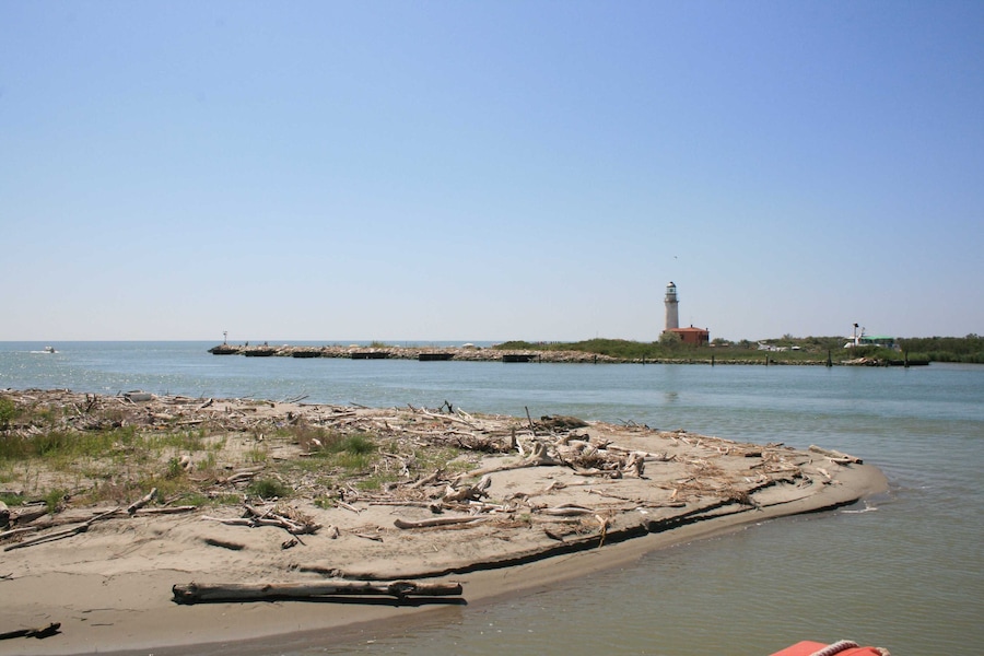 Une plage de sable avec des morceaux de bois flotté et un phare en arrière-plan.