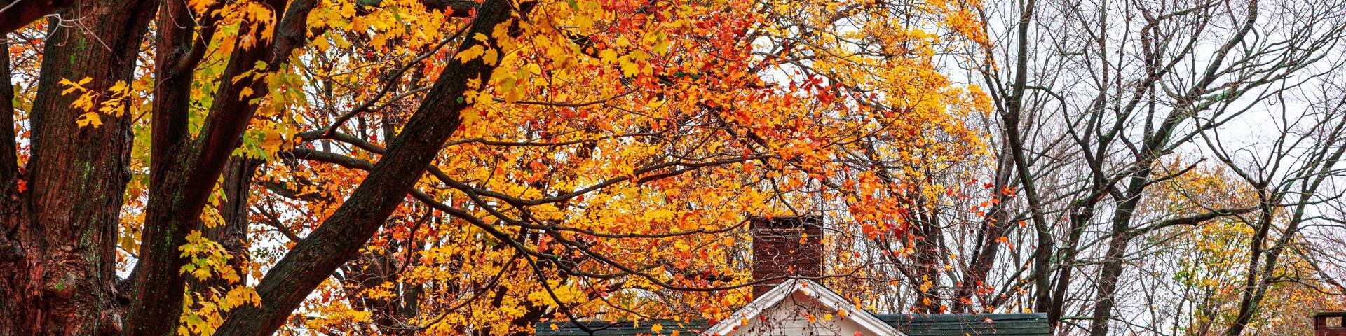 Autumn colors surround Old Farm at Ambler Farm in Connecticut