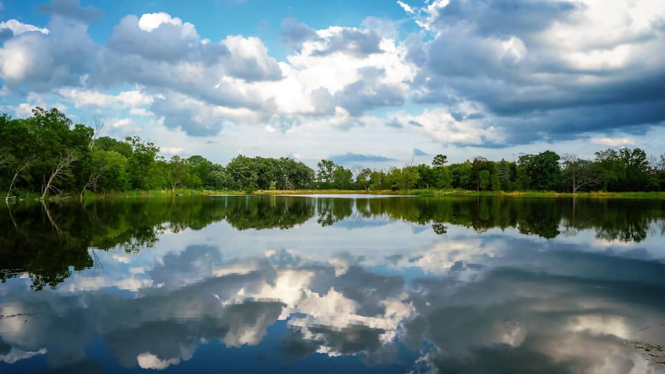 A calm lake with reflections of clouds, surrounded by dense green trees.