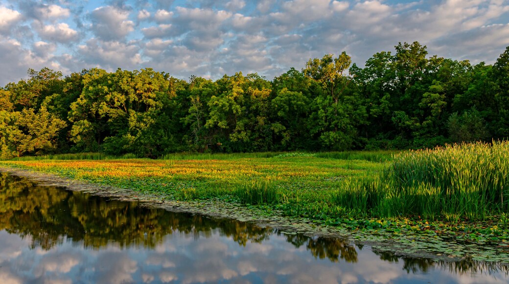 650-26 Popcorn Cloud Pano
