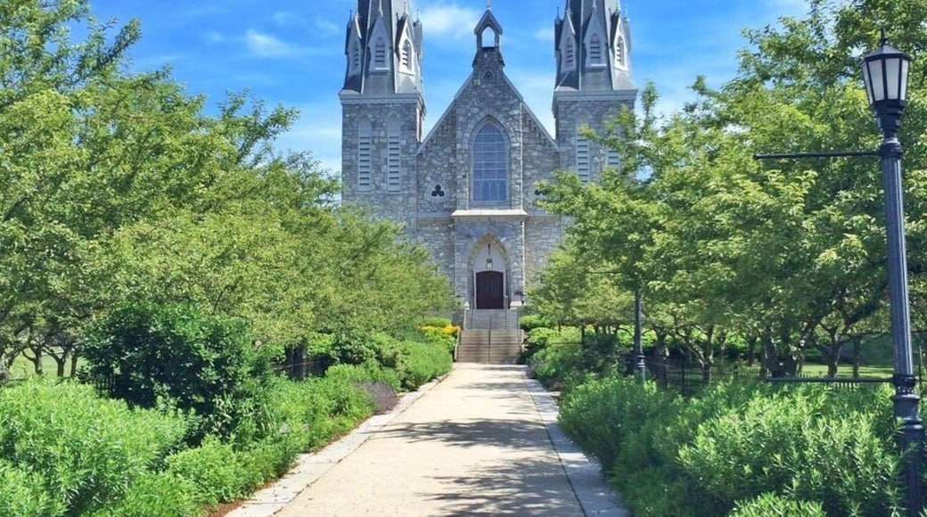 Very nice photo opportunities on this campus.