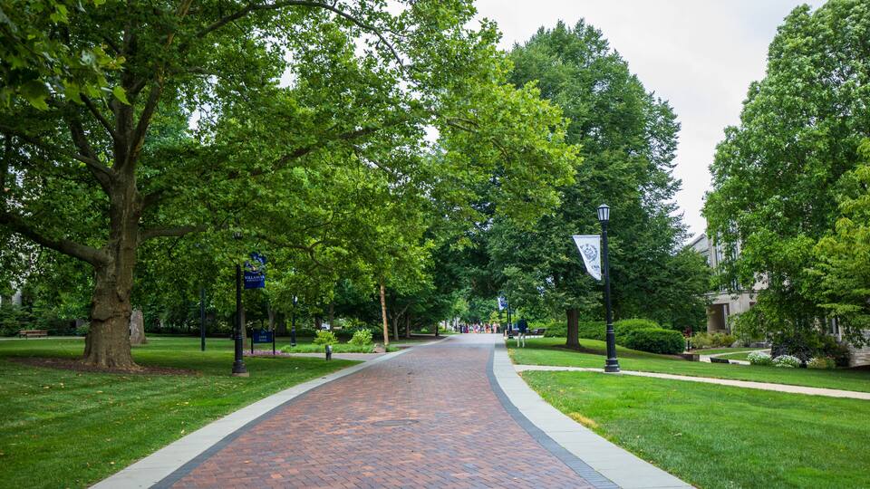 A brick pathway lined with trees and a lamppost.
