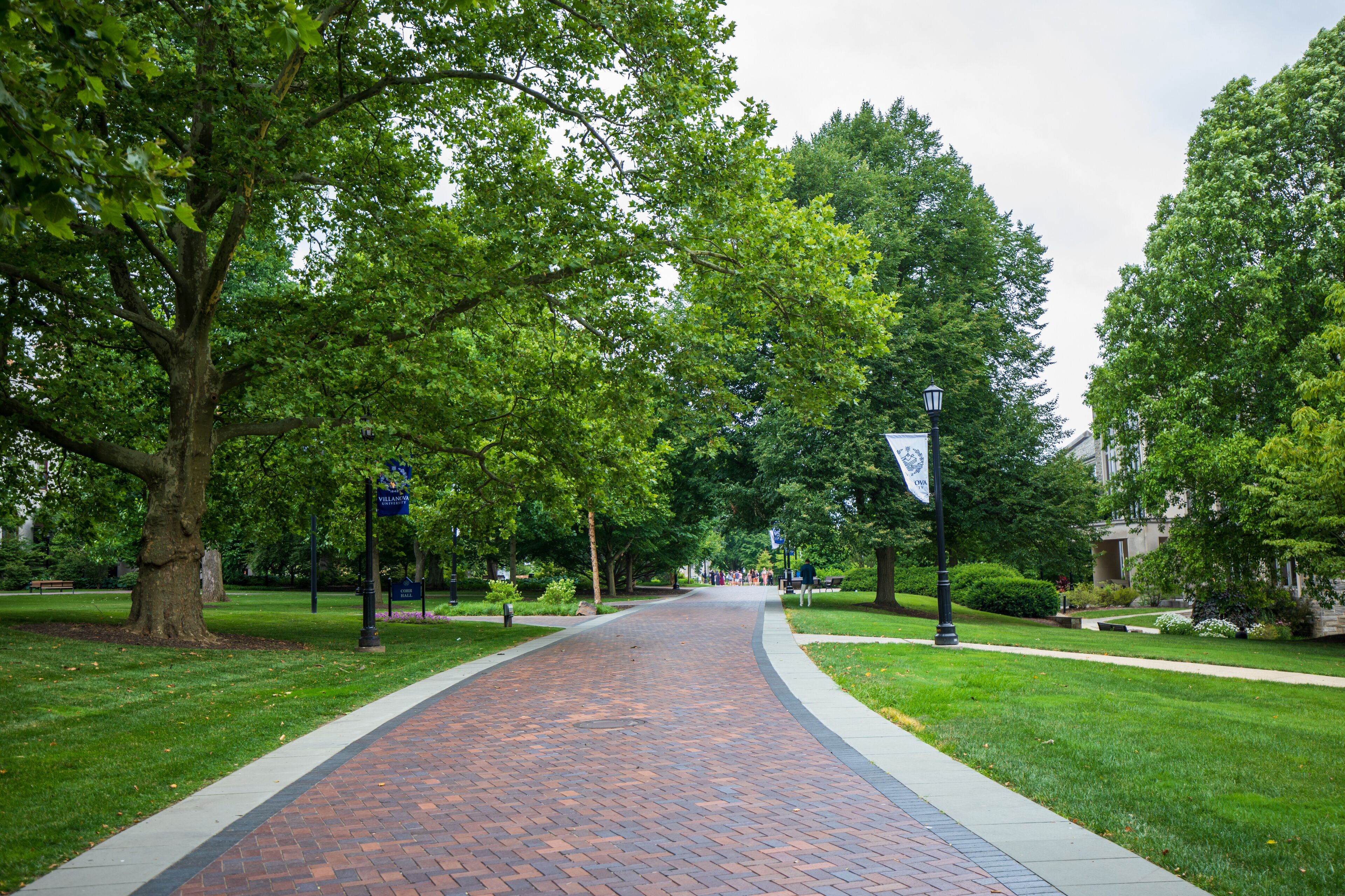 A brick pathway lined with trees and a lamppost.