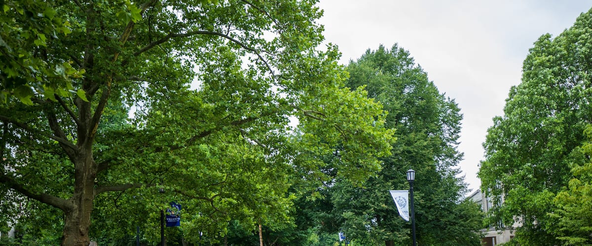 A brick pathway lined with trees and a lamppost.