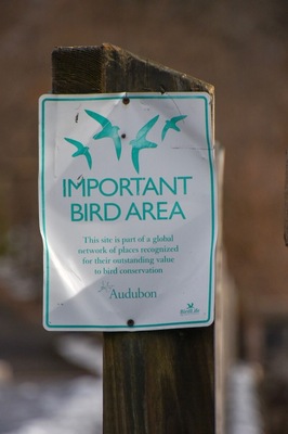 Respect the wildlife!