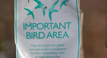 Respect the wildlife!