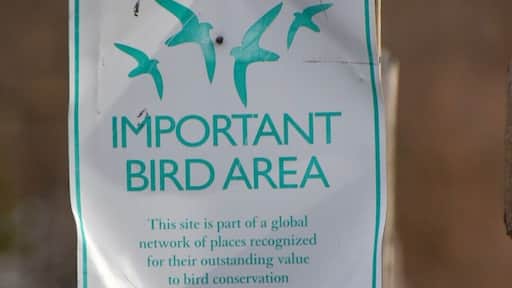 Respect the wildlife!