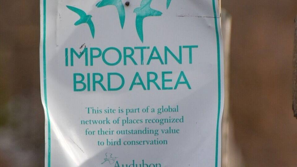 Respect the wildlife!