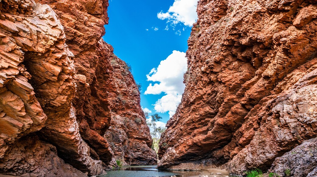 Simpsons gap in West MacDonnell National Park in NT central outback Australia