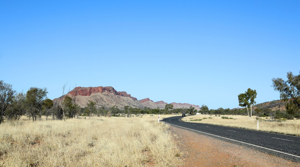 Detail image of Simpsons Gap in the MacDonnell Ranges near Alice Springs, Northern Territory, Australia featuring orange rock faces and beautiful ghost gum trees