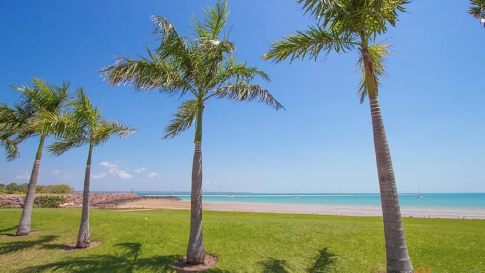 A beach with palm trees and a clear blue sky.