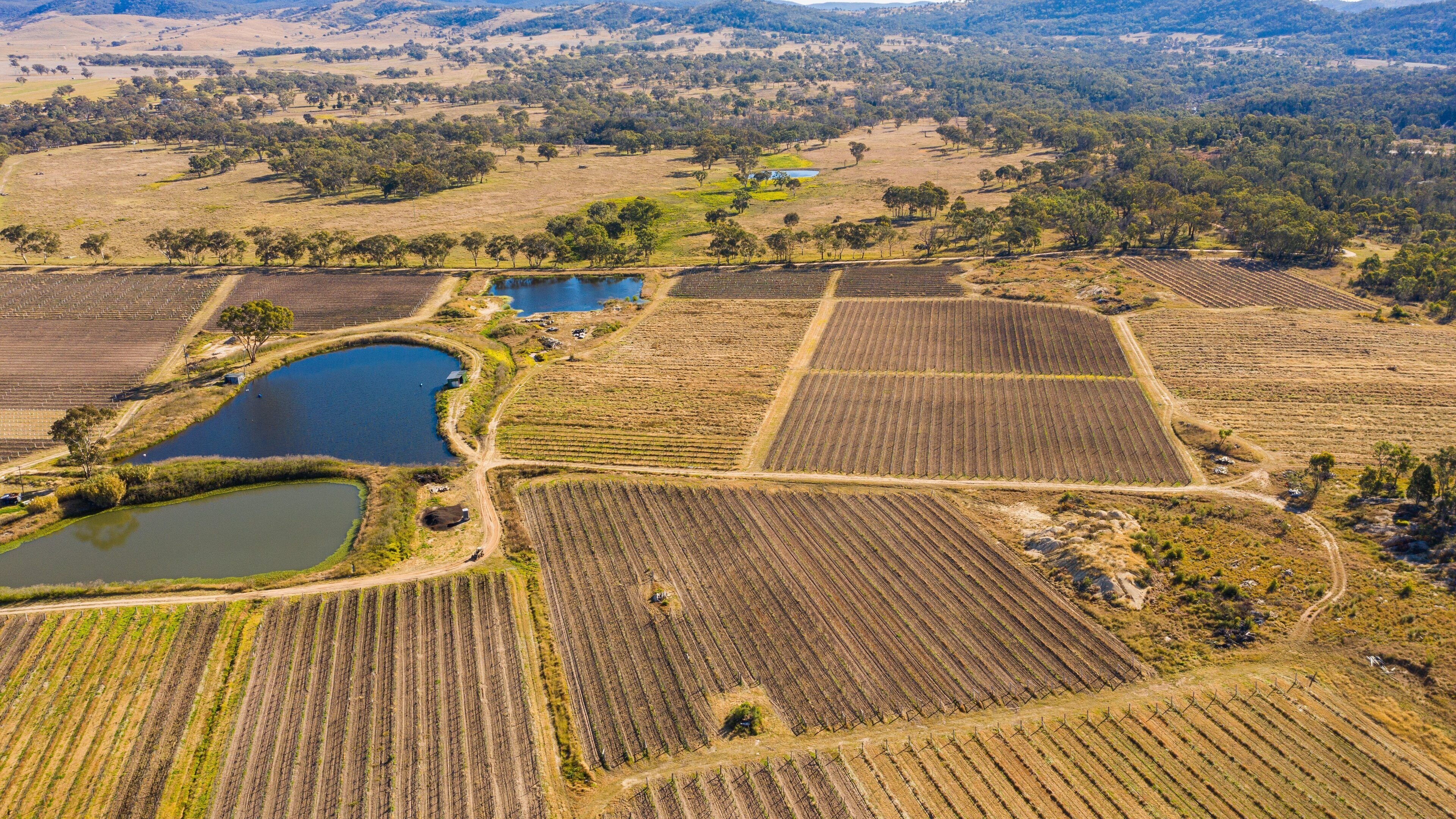 Vue aérienne de champs agricoles avec des bassins d’irrigation et un paysage vallonné en arrière-plan.