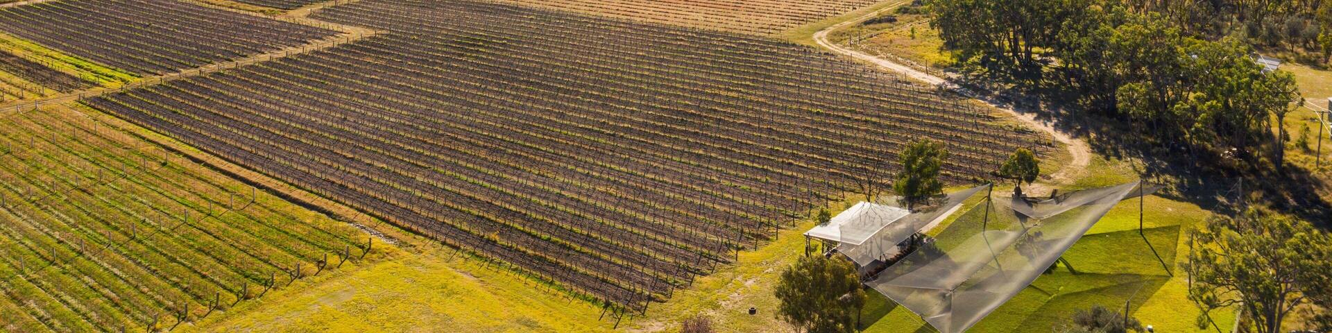 Ballandean Estate Wines which includes landscape views and farmland