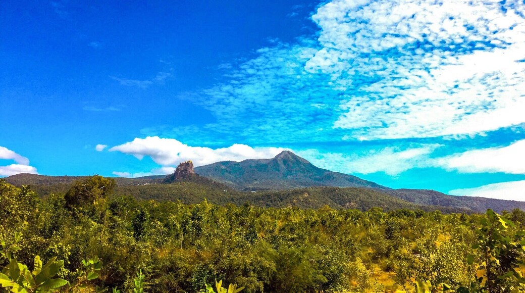 The views from return way , The high mountain is the main mount Popa and the tag as small mountain is the pagoda of mount Popa .