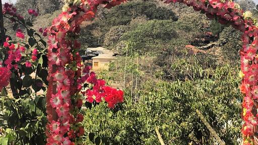 Steep climb ahead. Mount Popa, shrine to 37 nats. It is considered bad luck to wear black or red on the mountain, swear or think badly of others. #spirits #myanmar