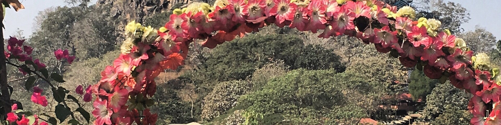 Steep climb ahead. Mount Popa, shrine to 37 nats. It is considered bad luck to wear black or red on the mountain, swear or think badly of others. #spirits #myanmar