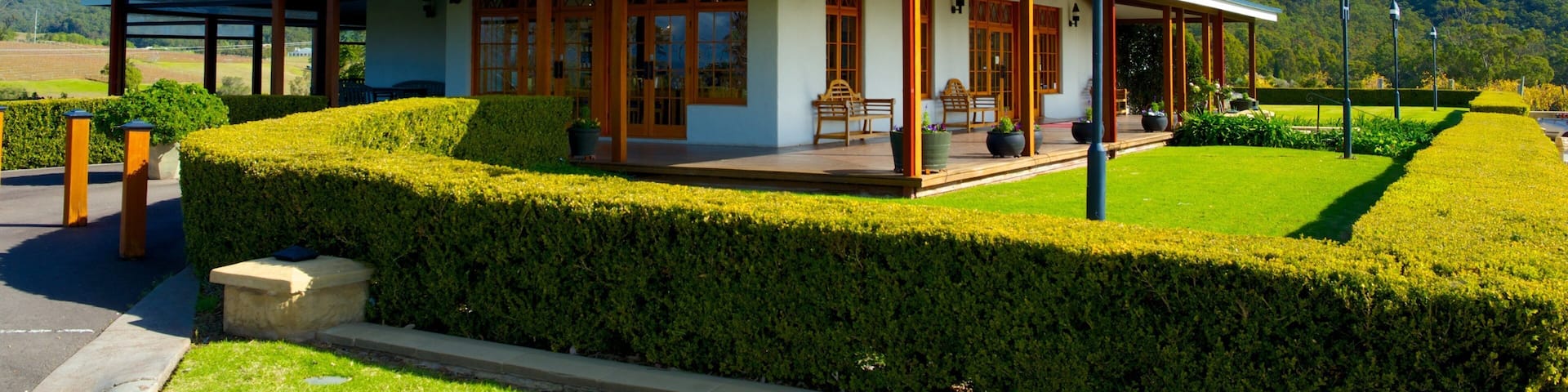 Audrey Wilkinson Vineyard