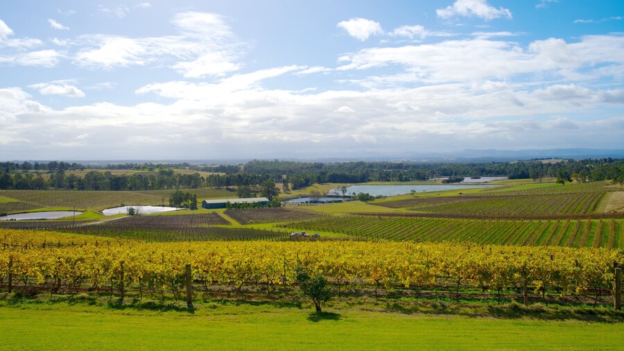 Audrey Wilkinson Winery som viser udsigt over landskaber og landbrugsområde