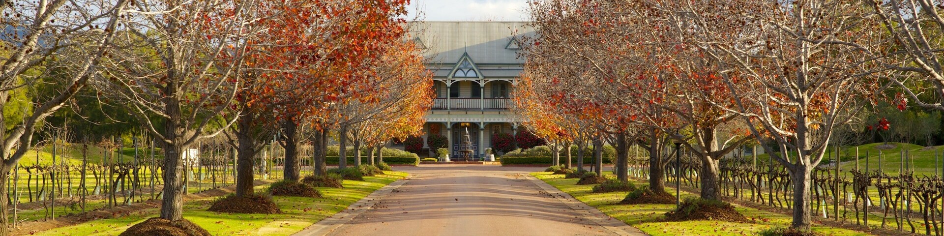 Pepper Tree Wines which includes autumn leaves