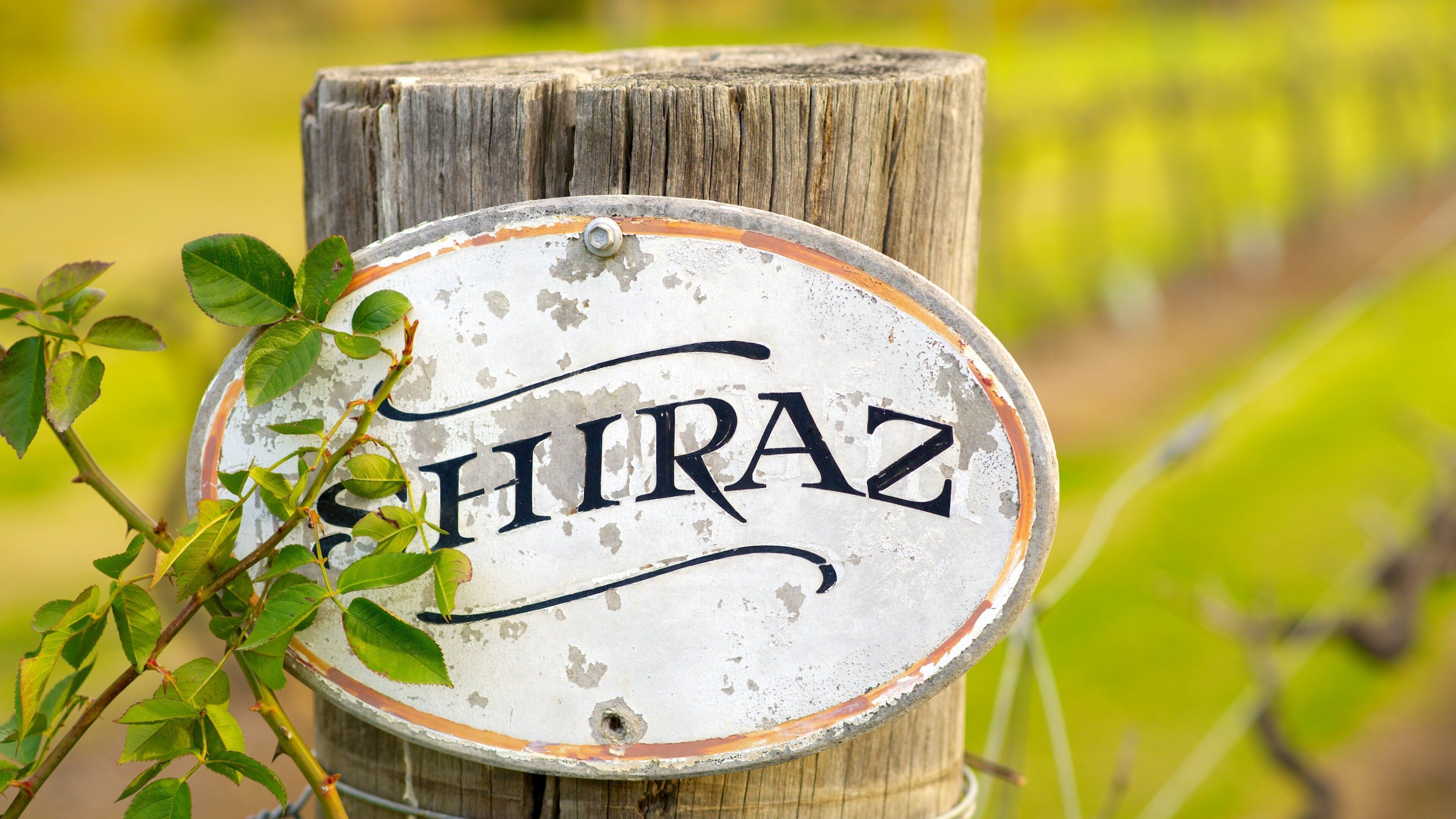 PepperTree Wines que inclui sinalização