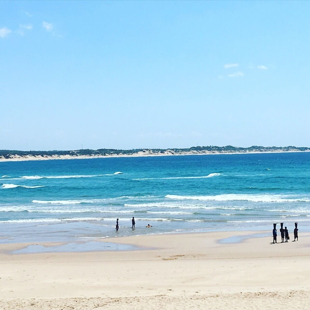 Una playa con agua azul cristalina, orilla arenosa y una hilera de árboles a lo lejos.