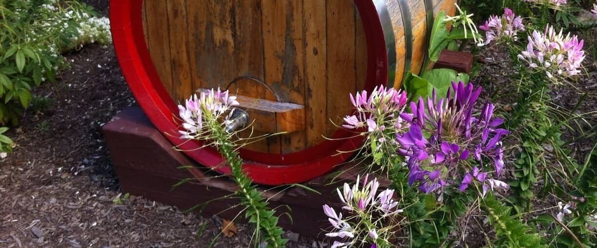 This is the front door flower garden at Goode Watch. One of the many wineries on the Finger Lakes wine trail.