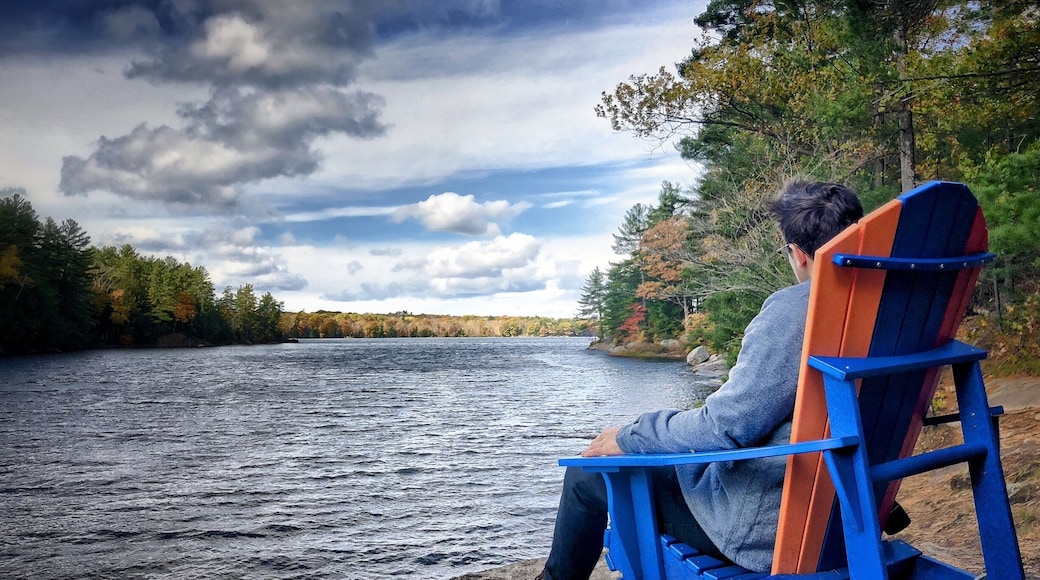 Lake Muskoka Chair...spotted some of these nice chairs all around, and this one provided a very relaxing stop while hiking the parameter of a small part of this huge lovely lake.
#greatoutdoors