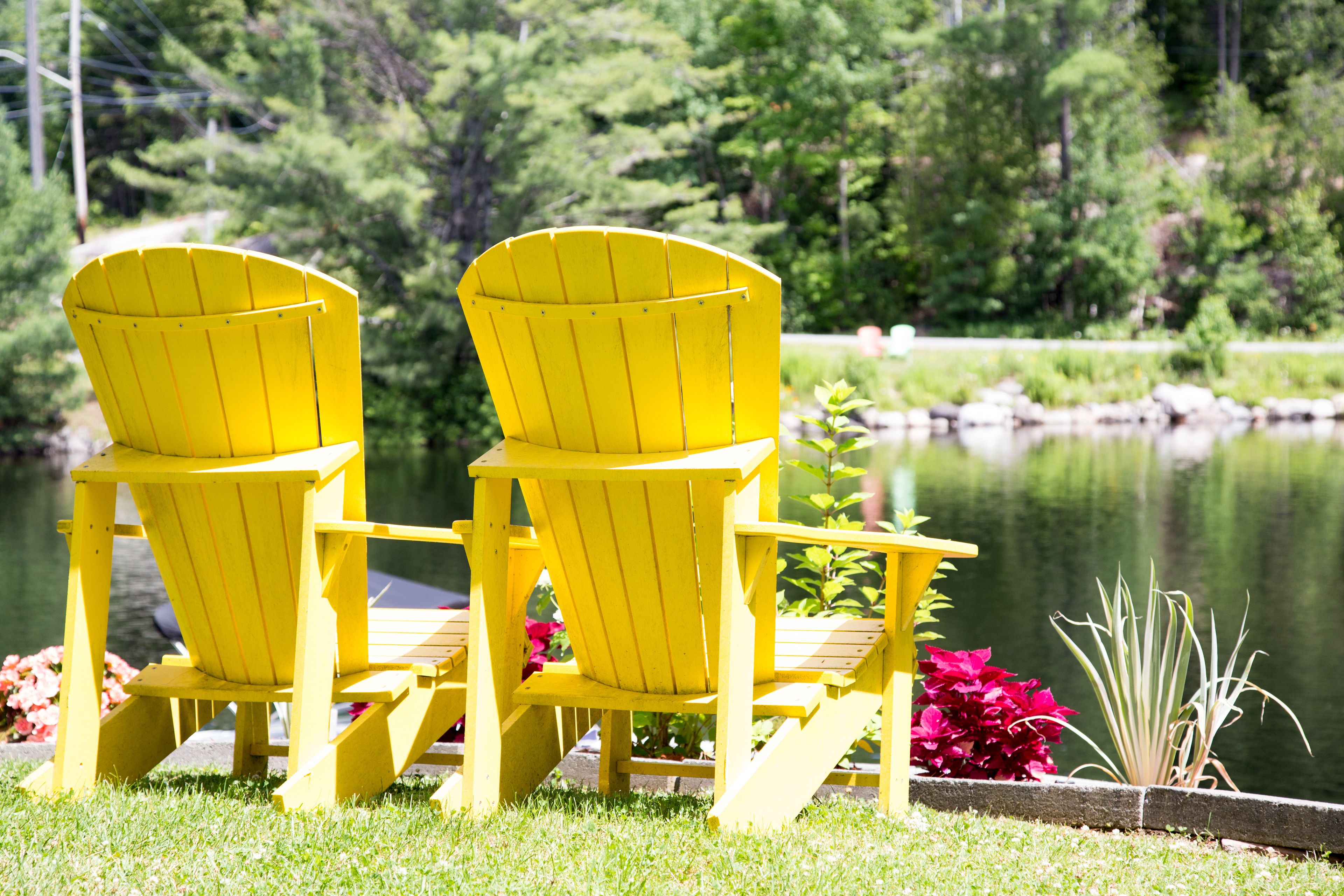 Yellow Muskoka chairs with a view