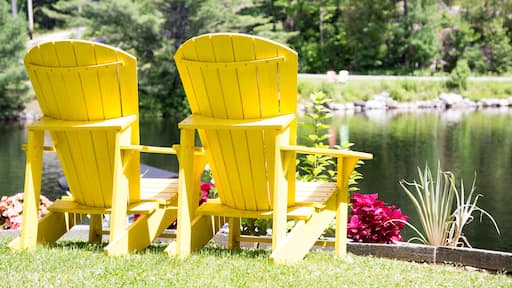 Two yellow Adirondack chairs facing a pond with greenery and flowers in the foreground.
