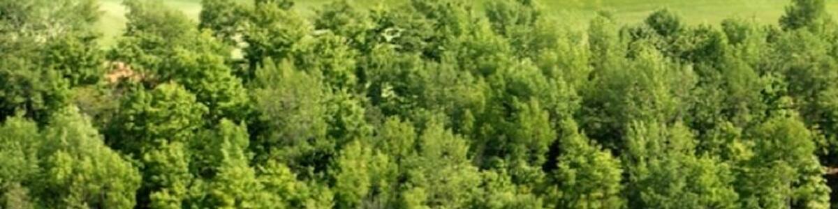 Bigwin Island Tower. Area landmark