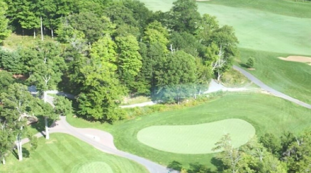 Aerial shot of the 18th par 5 on Bigwin Island.