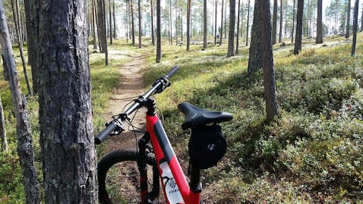 The mtb tracks are really fantastic.