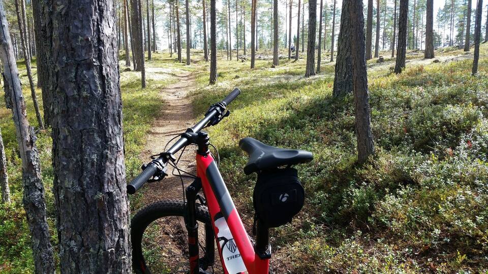 A mountain bike parked on a forest trail.