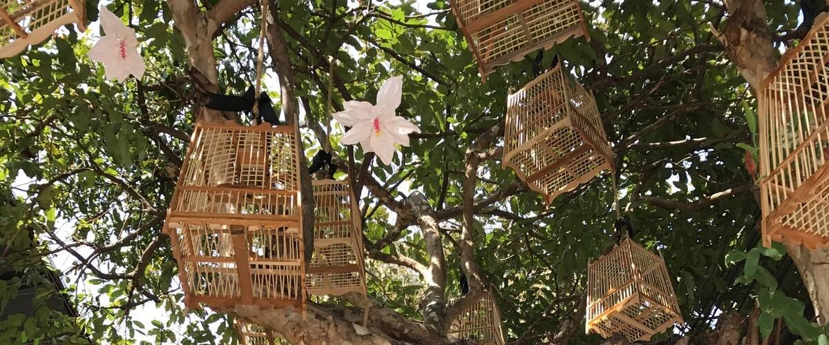 En Route to Wat Buppharam #temple #chiangmai #thailand