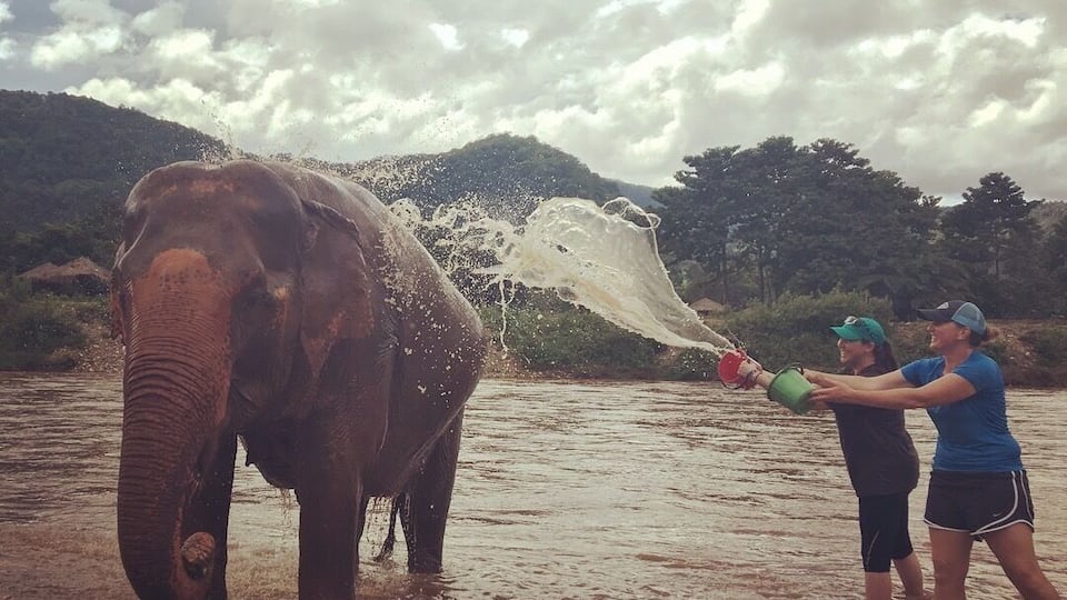 One of just a few ethical elephant sanctuaries in Thailand, we were able to experience up close experiences with these amazing animals. If you are up for an in-depth experience with elephants and want to do it without harming them then this is the place! #adventure