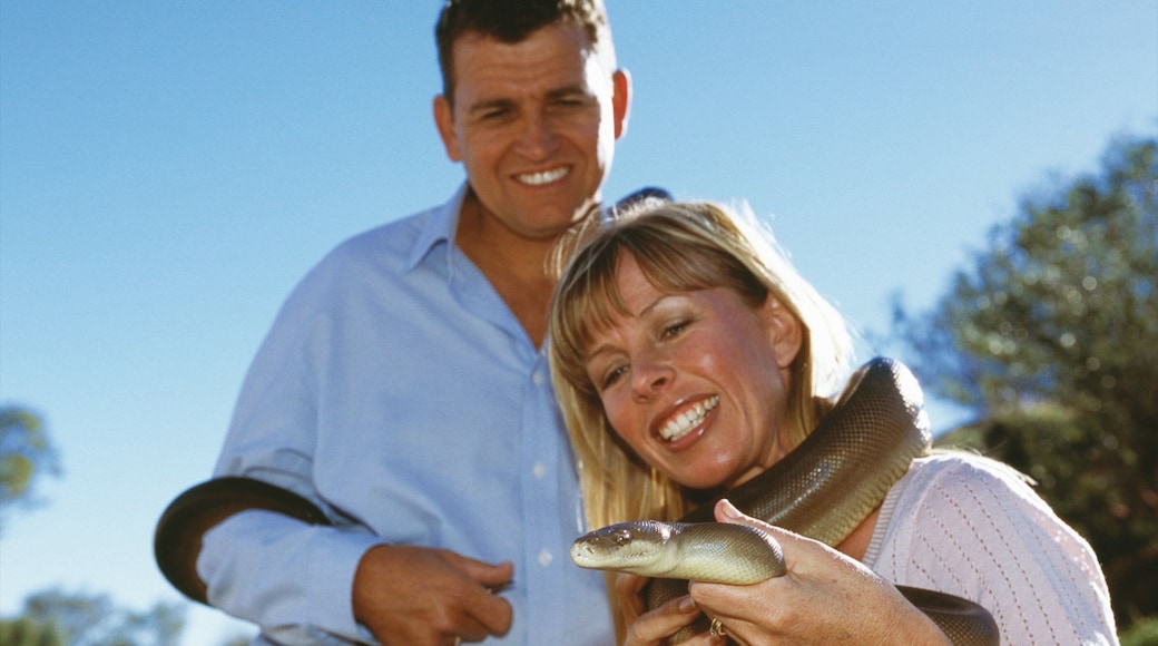 Centro de reptiles de Alice Springs mostrando animales del zoológico y animales peligrosos y también una pareja